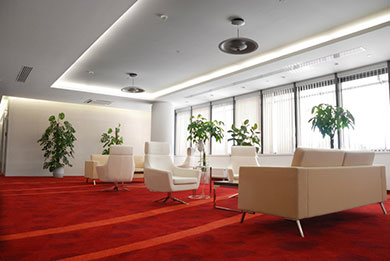 commercial carpet cleaning in dorset