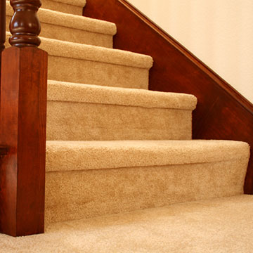 carpet cleaning services in dorset